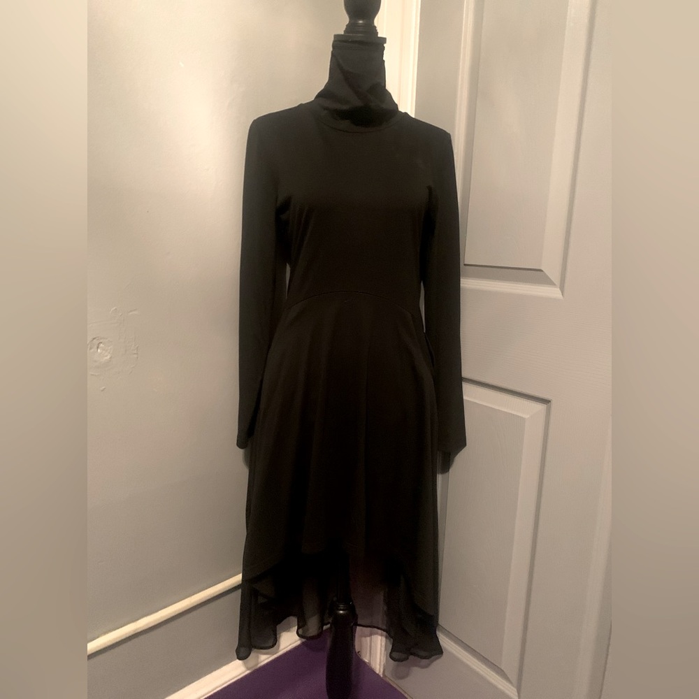 Hi-Low long sleeve blouse/mini dress.